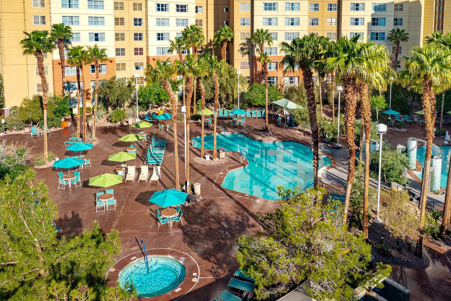 Elevated view of a Grandview at Las Vegas pool deck, palm trees, and a hot tub